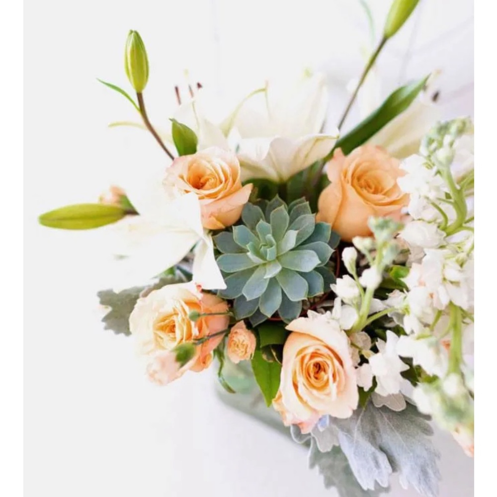 Meet your Posher, Jody-ann